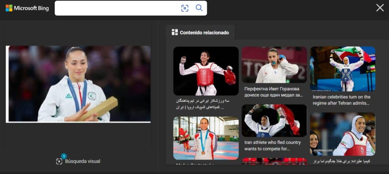 buscar por foto bing 2
