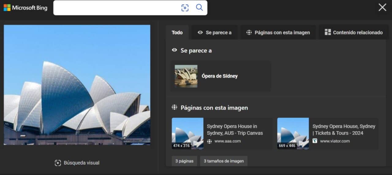 buscar por foto bing 4